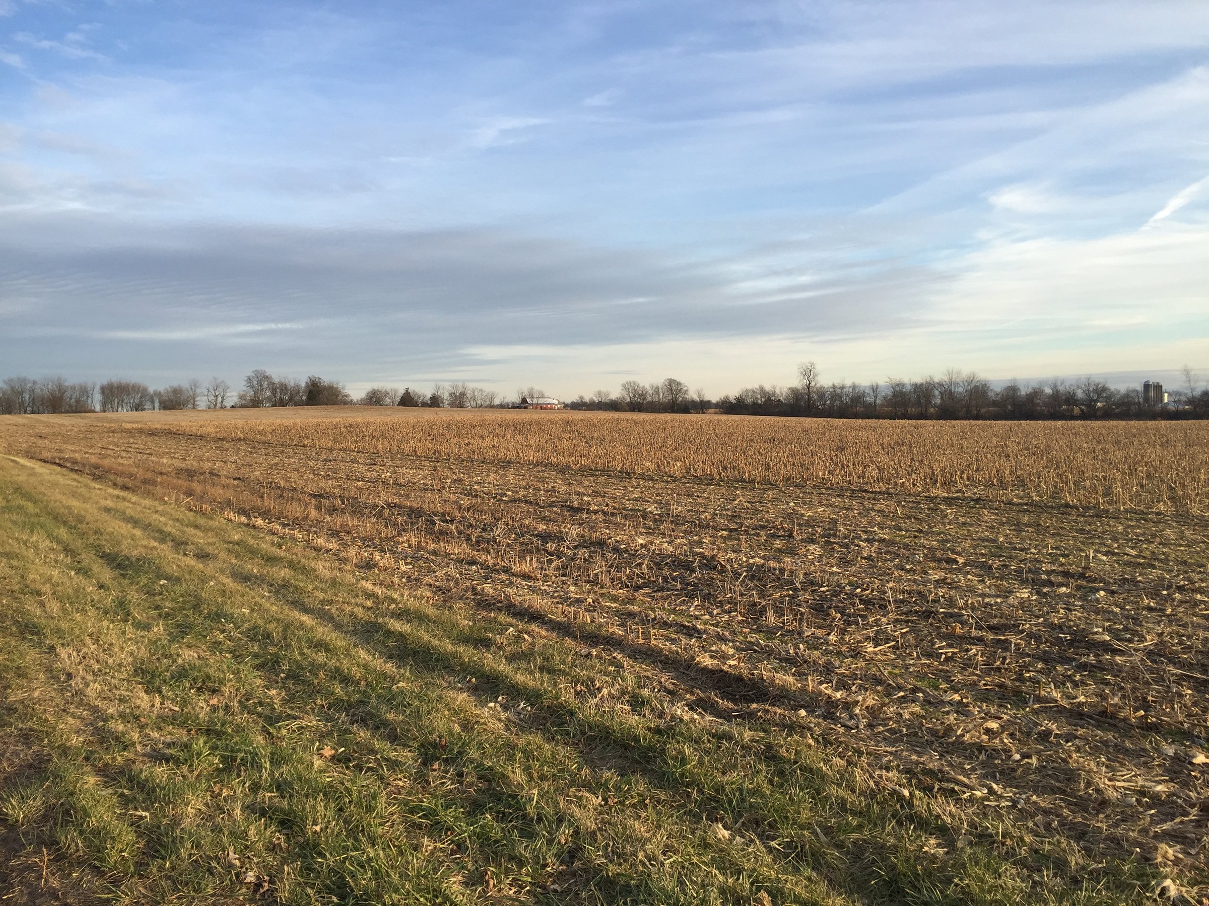 Property photo 16 - PRIME OHIO FARM AUCTION - 198+/- ACRES IN 4 TRACTS IN PREBLE COUNTY, OHIO